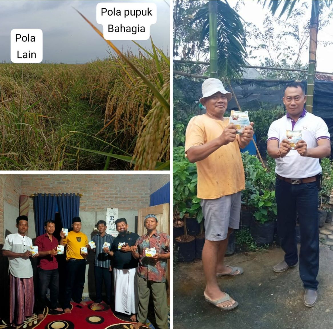 Pupuk majemuk organik bahagia